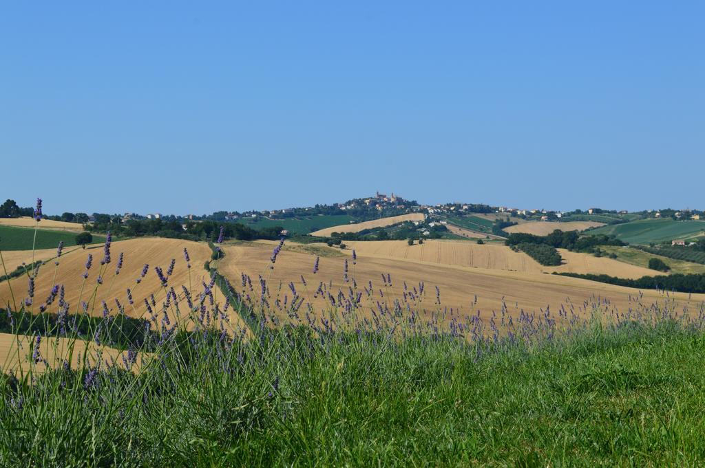 Agriturismo Tenuta Belvedere Villa Belvedere Ostrense Eksteriør billede